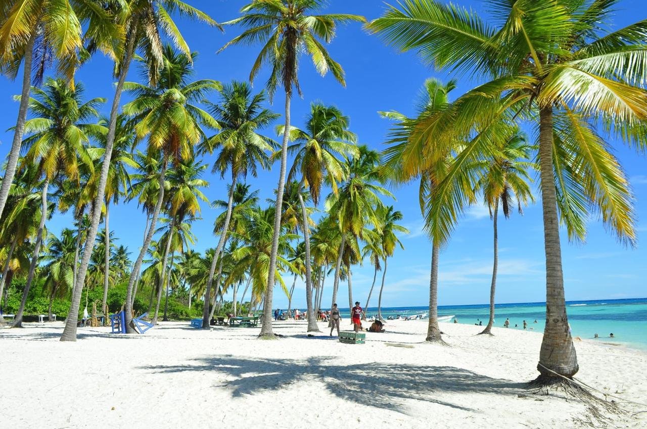 Saona Island Full Day