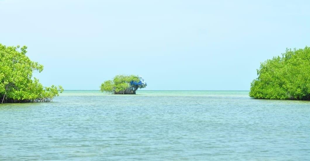 Samaná & Cayo Levantado (Bacardí Island)