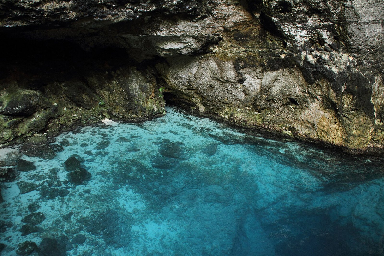 Scape Park & Hoyo Azul Cenote